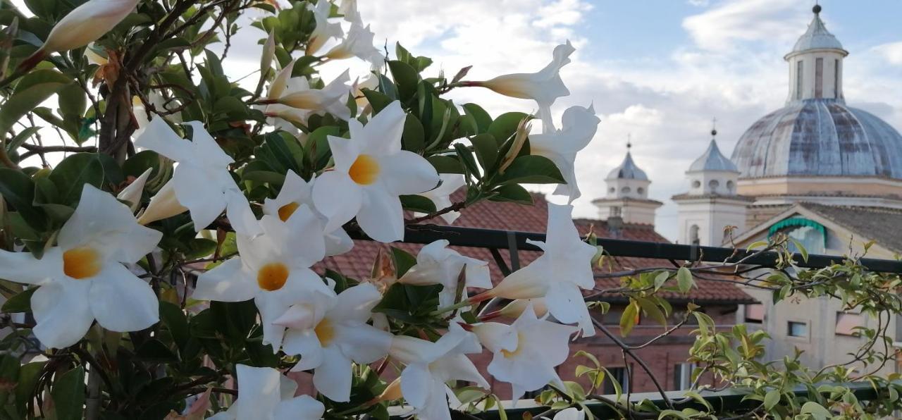 Una Favolosa Terrazza Nel Centro Di Roma 외부 사진